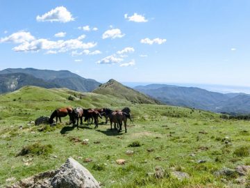 natura ed escursioni a cavallo in emilia