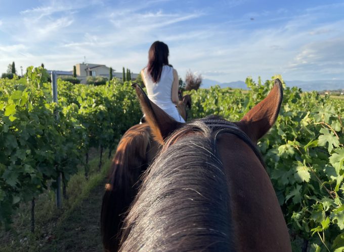Passeggiata a cavallo degustando i vini