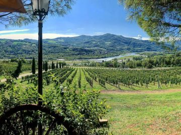 Esperienze e soggiorni in Emilia