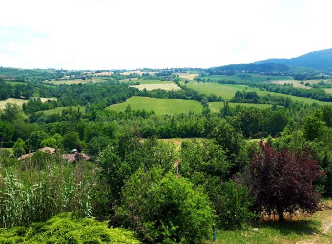 Una passeggiata nel bosco immersi nella natura