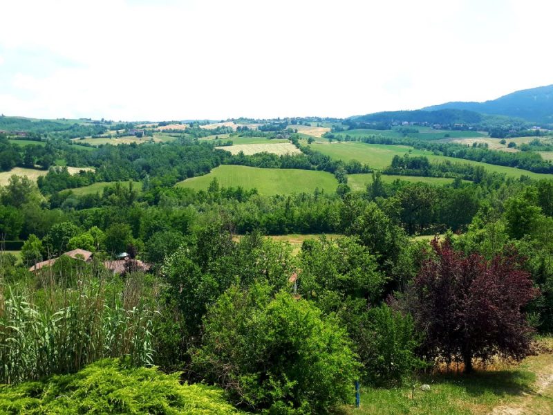 Una passeggiata nel bosco immersi nella natura