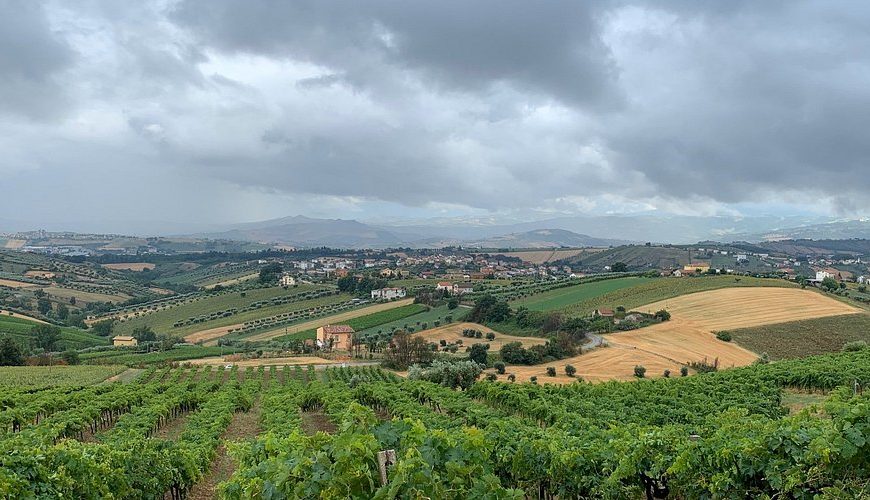 esperienze enologiche in Emilia