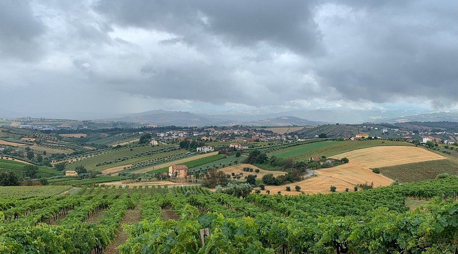 esperienze enologiche in Emilia