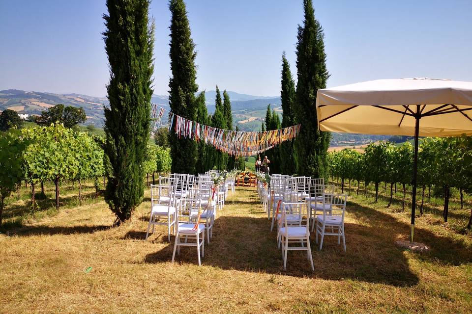 la torretta vini piacenza